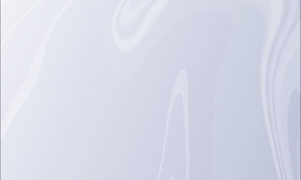 Лопес и Аффлек впервые появились вместе после свадьбы, а Сталлоне с Флавин — после слухов о разводе